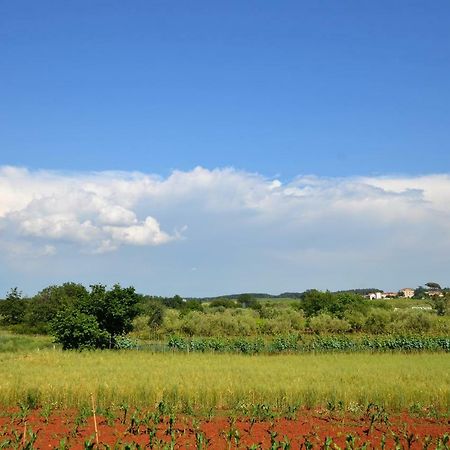 Apartments Sv. Pelegrin Umag Luaran gambar