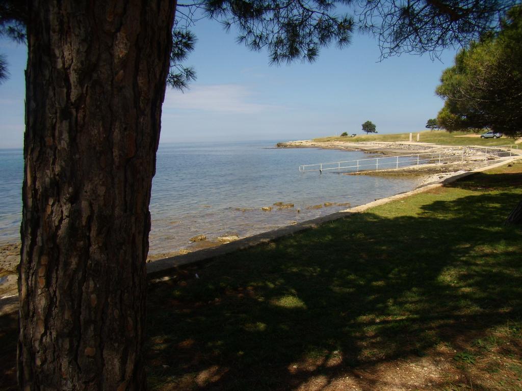 Apartments Sv. Pelegrin Umag Luaran gambar