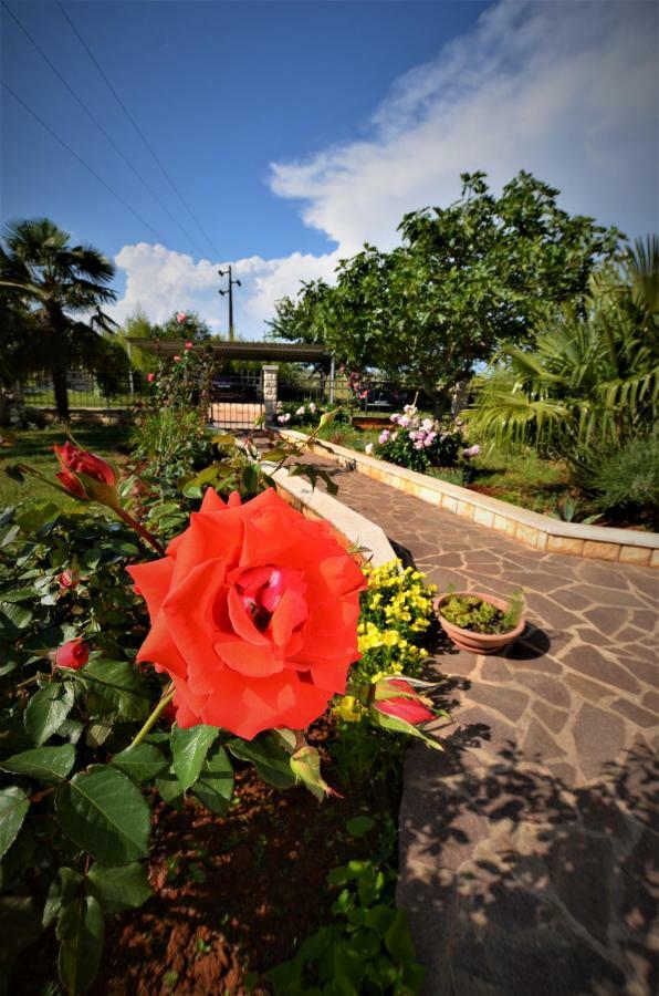 Apartments Sv. Pelegrin Umag Luaran gambar