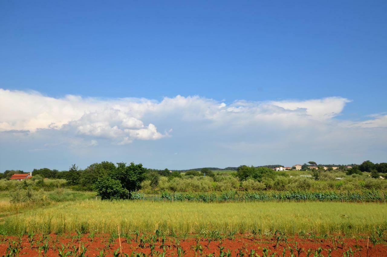 Apartments Sv. Pelegrin Umag Luaran gambar
